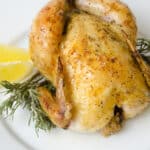 Air Fryer Cornish Game Hen